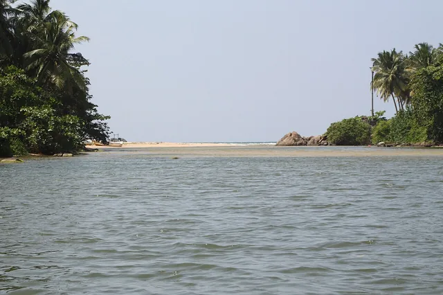The Maduganga estuary opens toward a pale sandbar and the Indian Ocean between palm-lined banks.