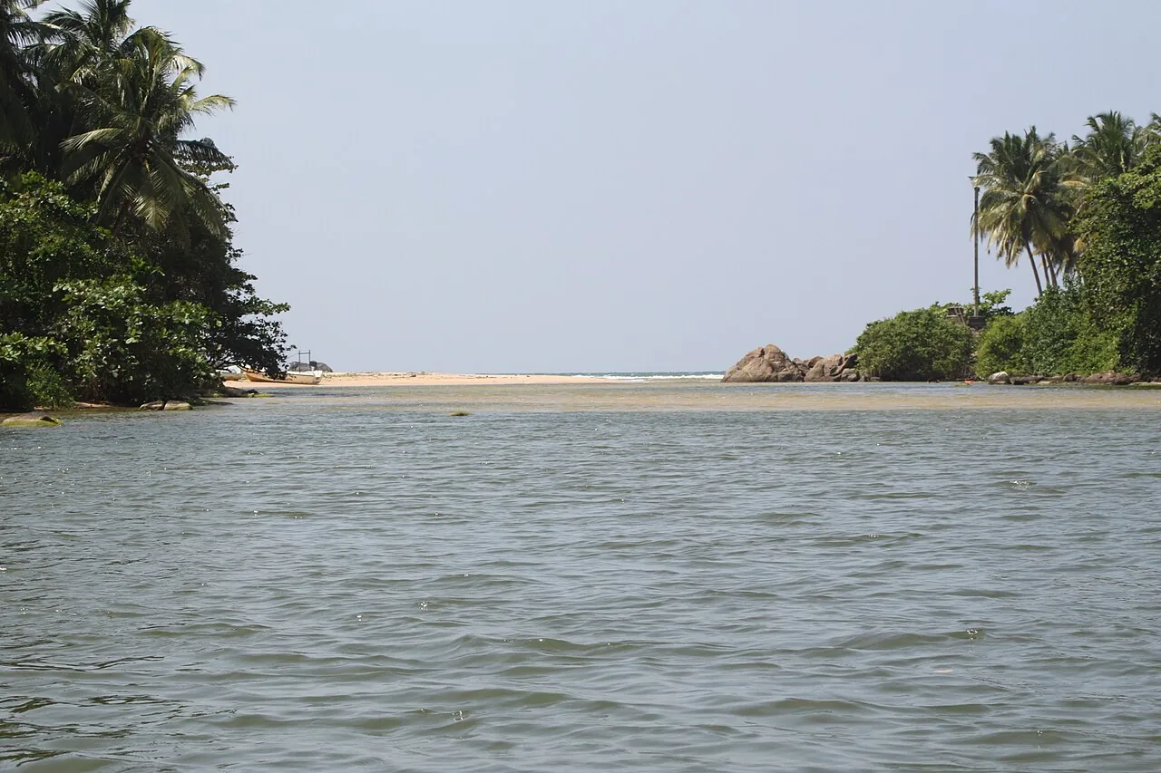 The Maduganga estuary opens toward a pale sandbar and the Indian Ocean between palm-lined banks.