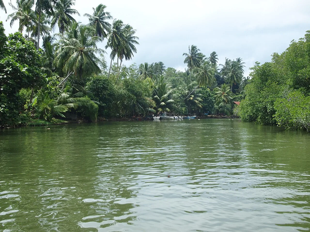 Green banks and sheltered water on Madu Ganga