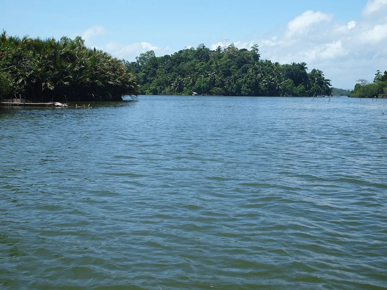 Blue water opens between densely wooded banks and islands on Madu Ganga beneath a partly cloudy sky.