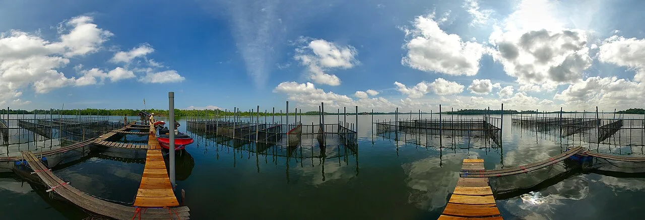 Wooden platforms and structures of a fish farm on Madu Ganga